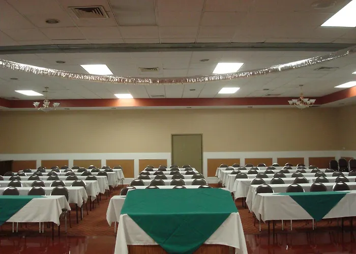 Romana Hotel - Houston Southwest